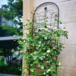 Metal Garden Trellis For Climbing Plants Outdoor Rustproof Plant Support Rose Trellis Netting Trellis - Furniture Home Direct