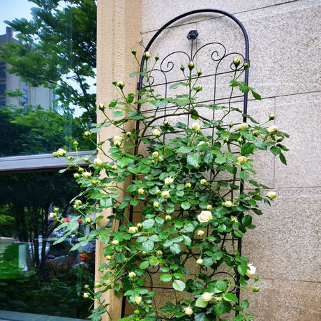 Metal Garden Trellis For Climbing Plants Outdoor Rustproof Plant Support Rose Trellis Netting Trellis - Furniture Home Direct