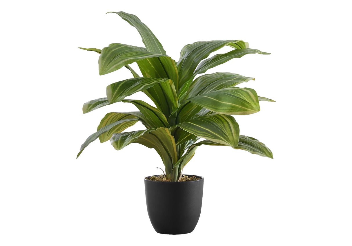 17" Tall, Artificial Plant, Dracaena, Indoor, Faux, Fake, Table, Greenery, Potted, Real Touch, Decorative - Green / Black - Furniture Home Direct