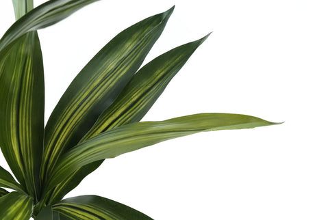 51" Tall, Artificial Plant, Dracaena Tree, Indoor, Faux, Fake, Floor, Greenery, Potted, Real Touch, Decorative - Green / Black - Furniture Home Direct