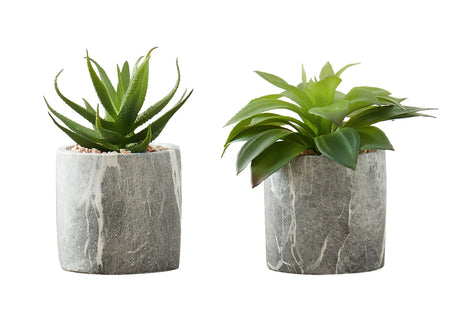 6" Tall, Artificial Plant, Succulent, Indoor, Faux, Fake, Table, Greenery, Potted, Decorative (Set of 2) - Green / Gray - Furniture Home Direct