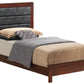 Transitional Modern Design Bed - Furniture Home Direct