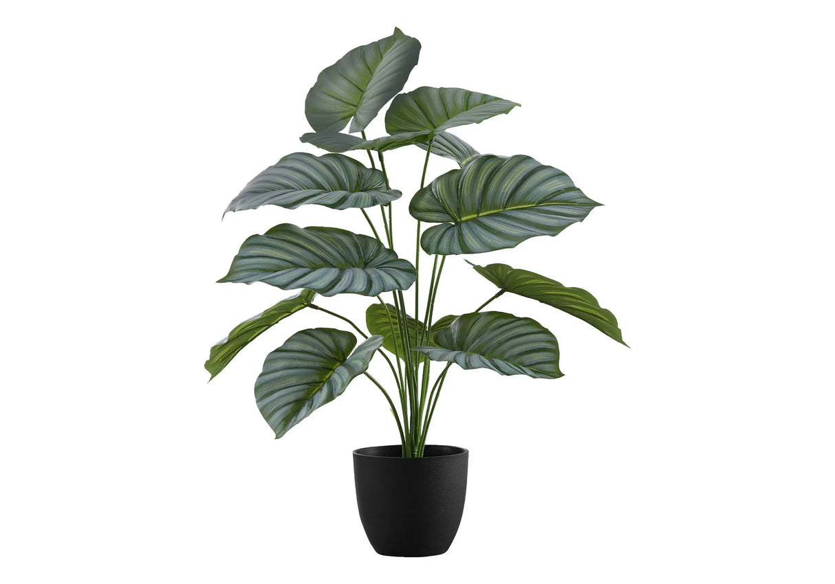 24" Tall, Artificial Plant, Calathea, Indoor, Faux, Fake, Table, Greenery, Potted, Real Touch, Decorative - Green / Black - Furniture Home Direct