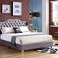 Upholstered Velvet Bed Transitional - Furniture Home Direct