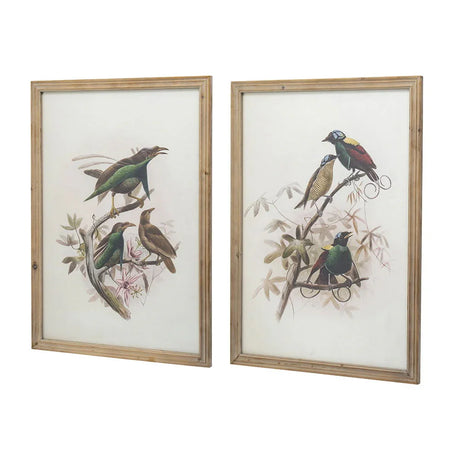 Bird Framed Print (Set of 2) - Multicolor - Furniture Home Direct