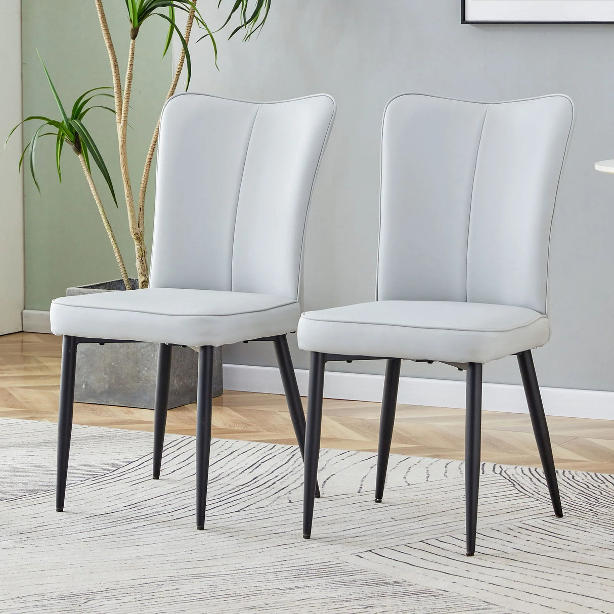 Modern Minimalist Dining Chairs (Set of 2) - Furniture Home Direct