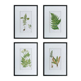 Botanical And Fern Wall Art, Wall Decor For Living Room Dining Room Entryway (Set of 4) - White / Black - Furniture Home Direct