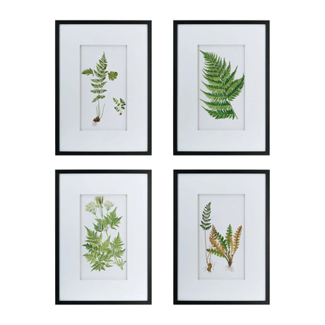 Botanical And Fern Wall Art, Wall Decor For Living Room Dining Room Entryway (Set of 4) - White / Black - Furniture Home Direct