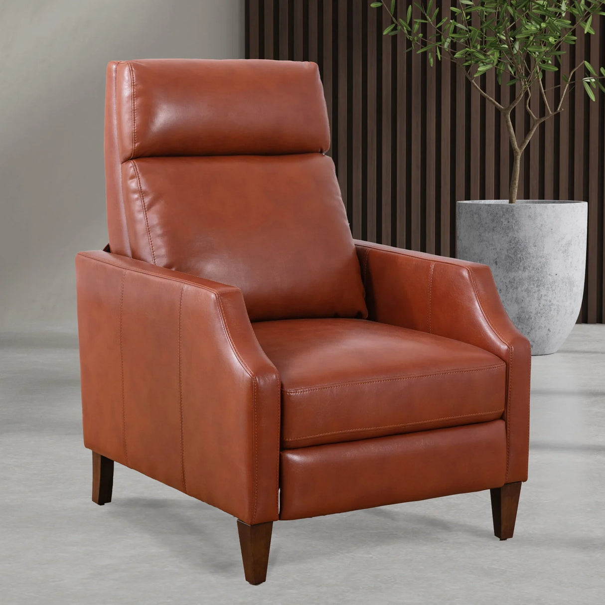 Biscoe - Push Back Recliner - Furniture Home Direct