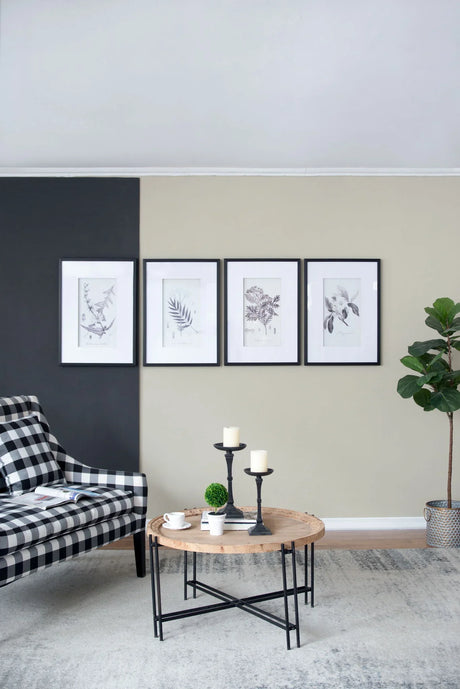 Botanical Wall Art Prints, Home Decor For Living Room Dining Room, Bedroom, Hallway (Set of 4) - White / Black - Furniture Home Direct