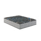 Comfort Care - 14" Hybrid Mattress With Individual Pocketed Coil, Medium Comfort - Furniture Home Direct