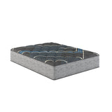 Comfort Care - 14" Hybrid Mattress With Individual Pocketed Coil, Medium Comfort - Furniture Home Direct