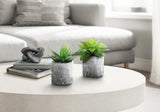 6" Tall, Artificial Plant, Succulent, Indoor, Faux, Fake, Table, Greenery, Potted, Decorative (Set of 2) - Green / Gray - Furniture Home Direct