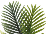 28" Tall, Artificial Plant, Palm Tree, Indoor, Faux, Fake, Floor, Greenery, Potted, Real Touch, Decorative - Green / White - Furniture Home Direct