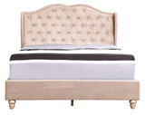 Upholstered Velvet Bed Transitional - Furniture Home Direct
