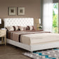 Elegant Transitional Upholstered Bed - Furniture Home Direct