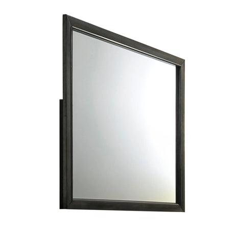 Carine - Mirror - Gray - Furniture Home Direct