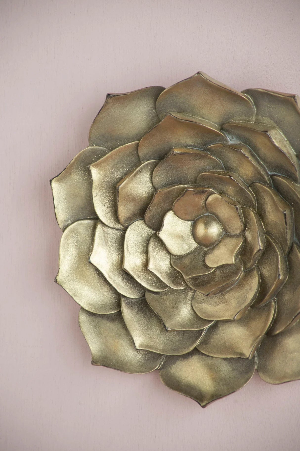 Succulent Wall Plaque Resin - Furniture Home Direct