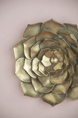Succulent Wall Plaque Resin - Furniture Home Direct