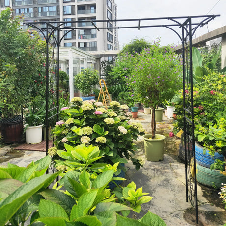 Metal Garden Arch Climbing Plants Support Rose Arch Outdoor - Black - Furniture Home Direct
