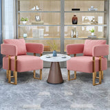 Modern Decorative Chair Teddy Fleece Upholstered And Metal Foot - Furniture Home Direct