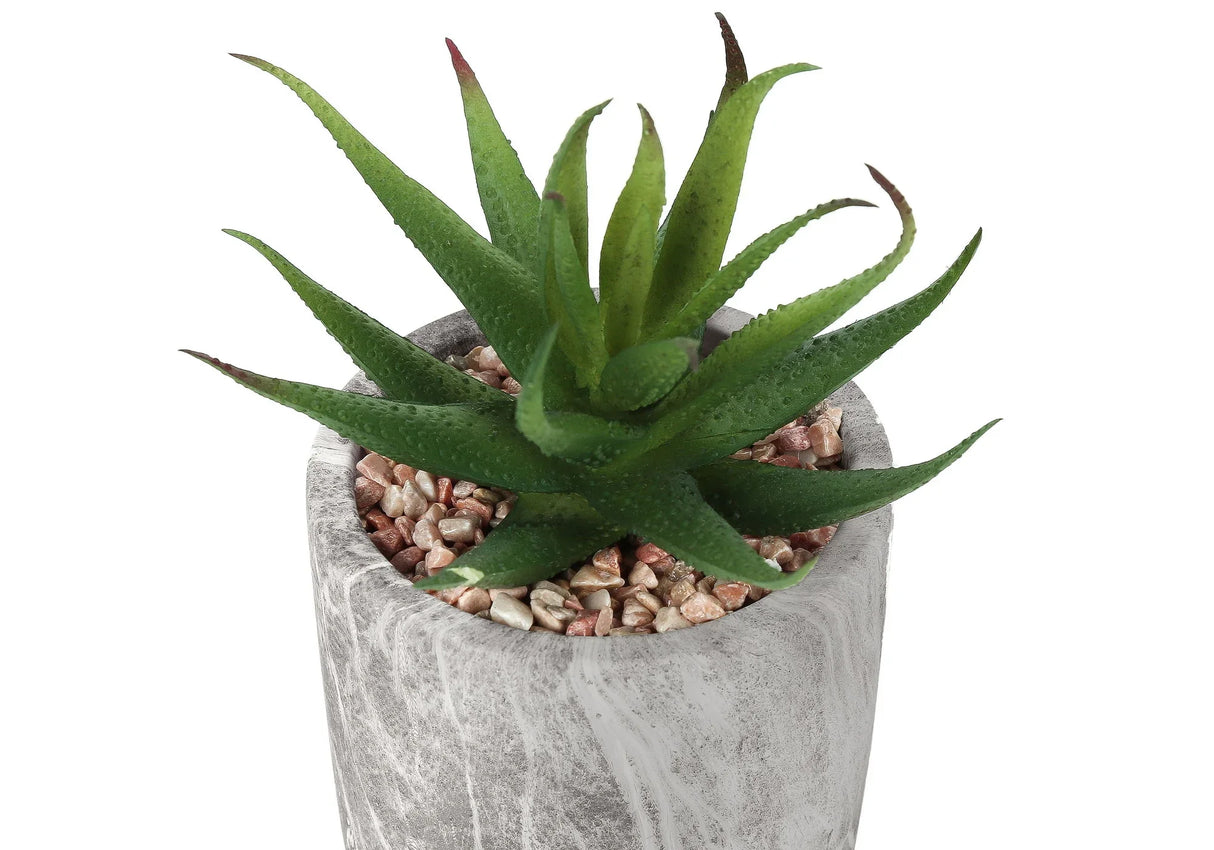 6" Tall, Artificial Plant, Succulent, Indoor, Faux, Fake, Table, Greenery, Potted, Decorative (Set of 2) - Green / Gray - Furniture Home Direct