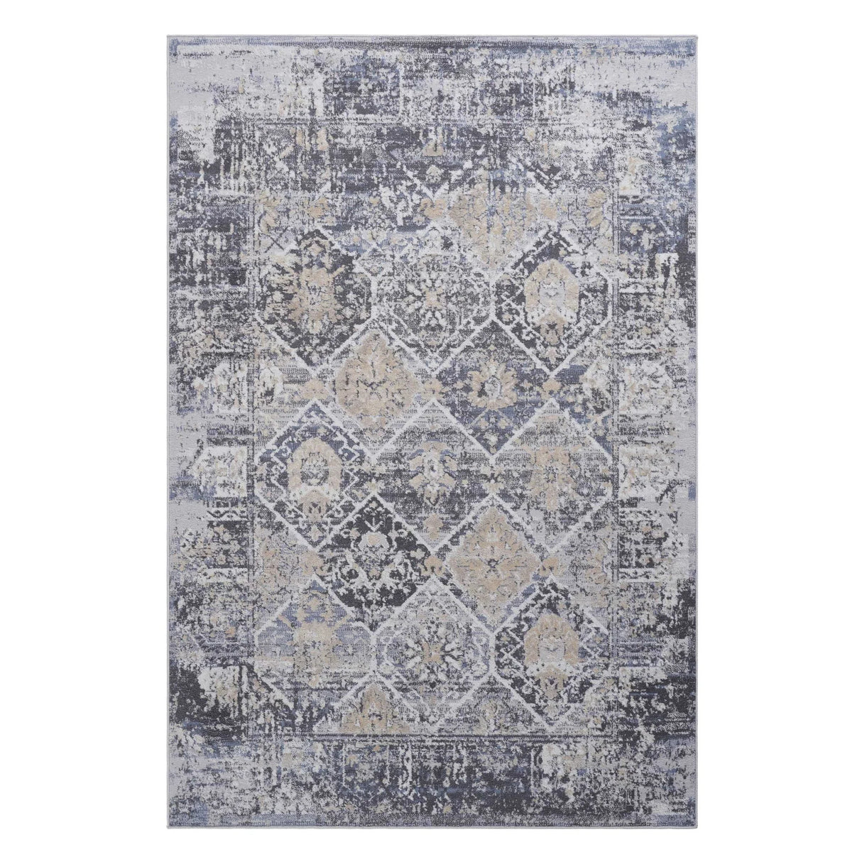 Payas - Traditional Area Rug - Furniture Home Direct