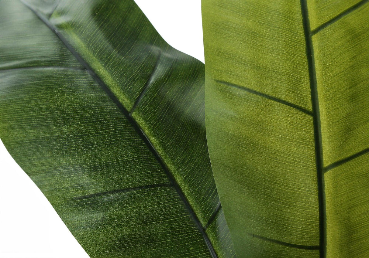 55" Tall, Artificial Plant, Banana Tree, Indoor, Faux, Fake, Floor, Greenery, Potted, Real Touch, Decorative - Green / Black - Furniture Home Direct