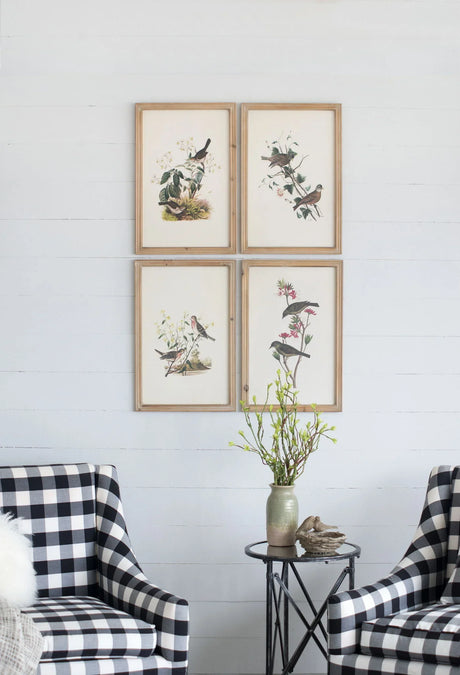 Bird Framed Print (Set of 4) - Multicolor - Furniture Home Direct