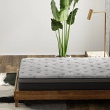 CS Hybrid - 12" Pocket Coil Mattress - Furniture Home Direct