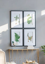 Botanical And Fern Wall Art, Wall Decor For Living Room Dining Room Entryway (Set of 4) - White / Black - Furniture Home Direct