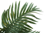 34" Tall, Artificial Plant, Palm Tree, Indoor, Faux, Fake, Floor, Greenery, Potted, Real Touch, Decorative - Green / Black - Furniture Home Direct