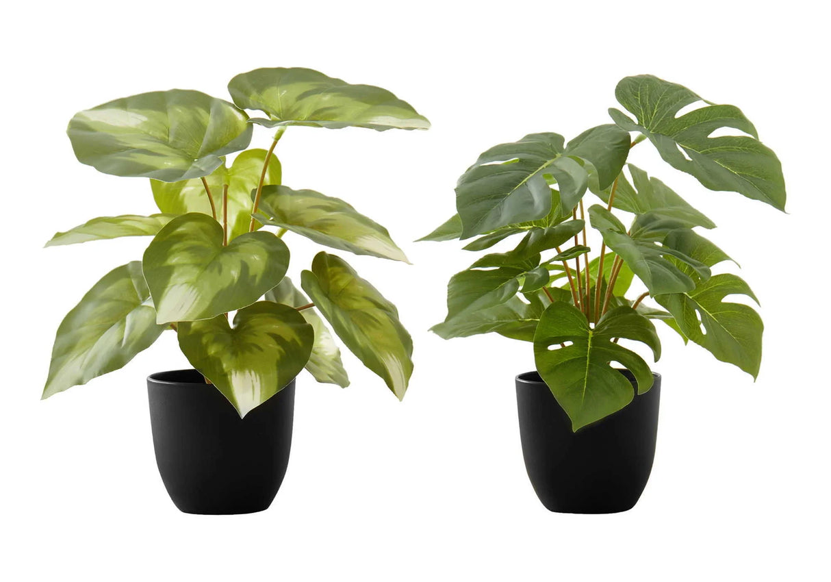 13" Tall, Artificial Plant, Monstera Calthea, Indoor, Faux, Fake, Table, Greenery, Potted, Decorative (Set of 2) - Green / Black - Furniture Home Direct