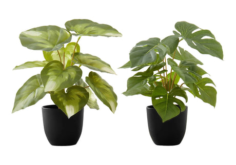 13" Tall, Artificial Plant, Monstera Calthea, Indoor, Faux, Fake, Table, Greenery, Potted, Decorative (Set of 2) - Green / Black - Furniture Home Direct