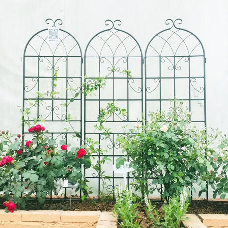 Metal Garden Rustproof Trellis For Climbing Plants Outdoor Flower Support - Furniture Home Direct