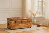 Buffalo - Leather Storage Trunk - Furniture Home Direct