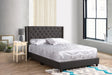 Nailhead Bed Transitional Vibrant - Furniture Home Direct