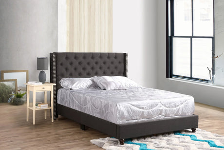 Nailhead Bed Transitional Vibrant - Furniture Home Direct