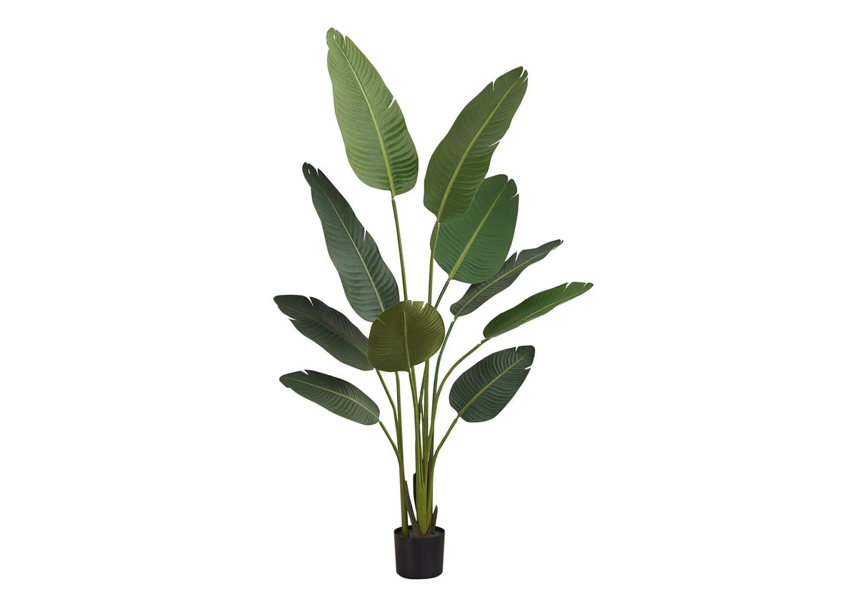60" Tall, Artificial Plant, Bird Of Paradise Tree, Indoor, Faux, Fake, Floor, Greenery, Potted, Decorative - Green / Black - Furniture Home Direct