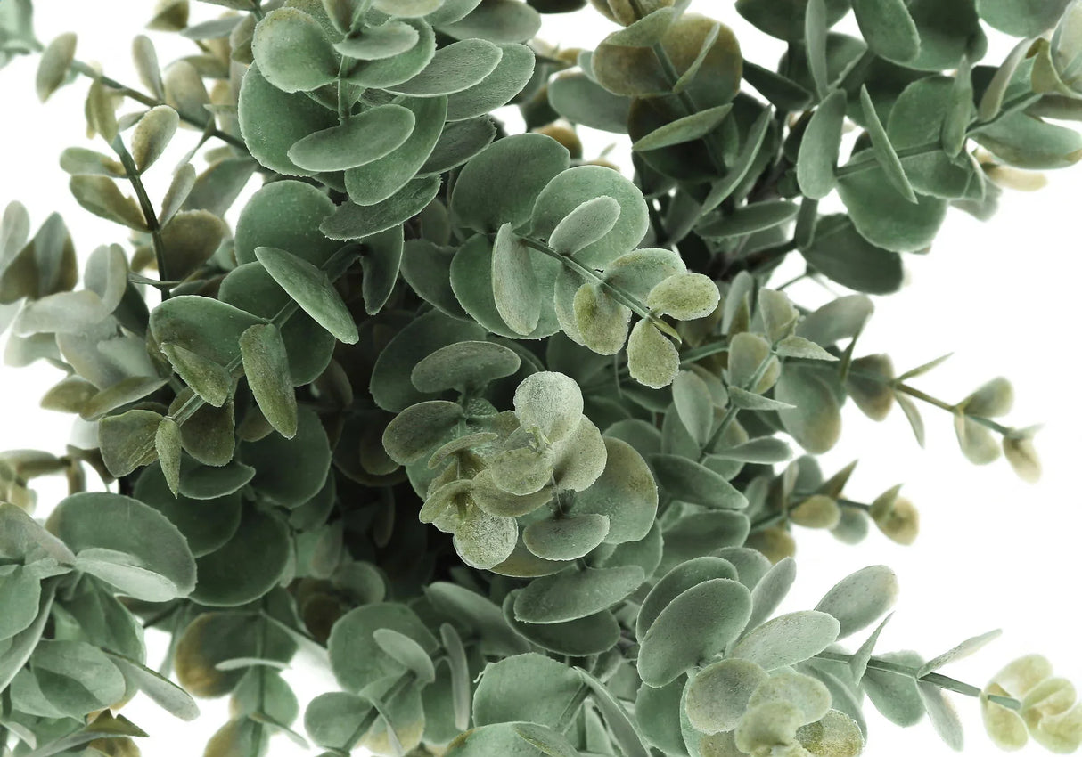 13" Tall, Artificial Plant, Eucalyptus Grass, Indoor, Faux, Fake, Table, Greenery, Potted, Decorative (Set of 2) - Green / White - Furniture Home Direct