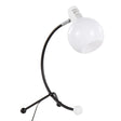 Eileen - Contemporary Task Lamp - Black / White - Furniture Home Direct