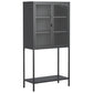 Heavy Duty Metal Storage Cabinet, Display Storage Cabinet With Glass Doors And 2 Adjustable Shelves, Tall Bookcase Modern Bookshelf Cabinet For Home Office, Living Room, Pantry - Furniture Home Direct