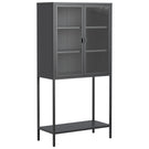 Heavy Duty Metal Storage Cabinet, Display Storage Cabinet With Glass Doors And 2 Adjustable Shelves, Tall Bookcase Modern Bookshelf Cabinet For Home Office, Living Room, Pantry - Furniture Home Direct