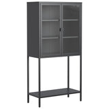 Heavy Duty Metal Storage Cabinet, Display Storage Cabinet With Glass Doors And 2 Adjustable Shelves, Tall Bookcase Modern Bookshelf Cabinet For Home Office, Living Room, Pantry - Furniture Home Direct