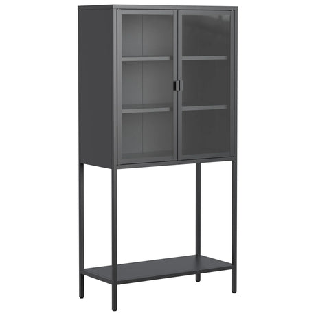 Heavy Duty Metal Storage Cabinet, Display Storage Cabinet With Glass Doors And 2 Adjustable Shelves, Tall Bookcase Modern Bookshelf Cabinet For Home Office, Living Room, Pantry - Furniture Home Direct