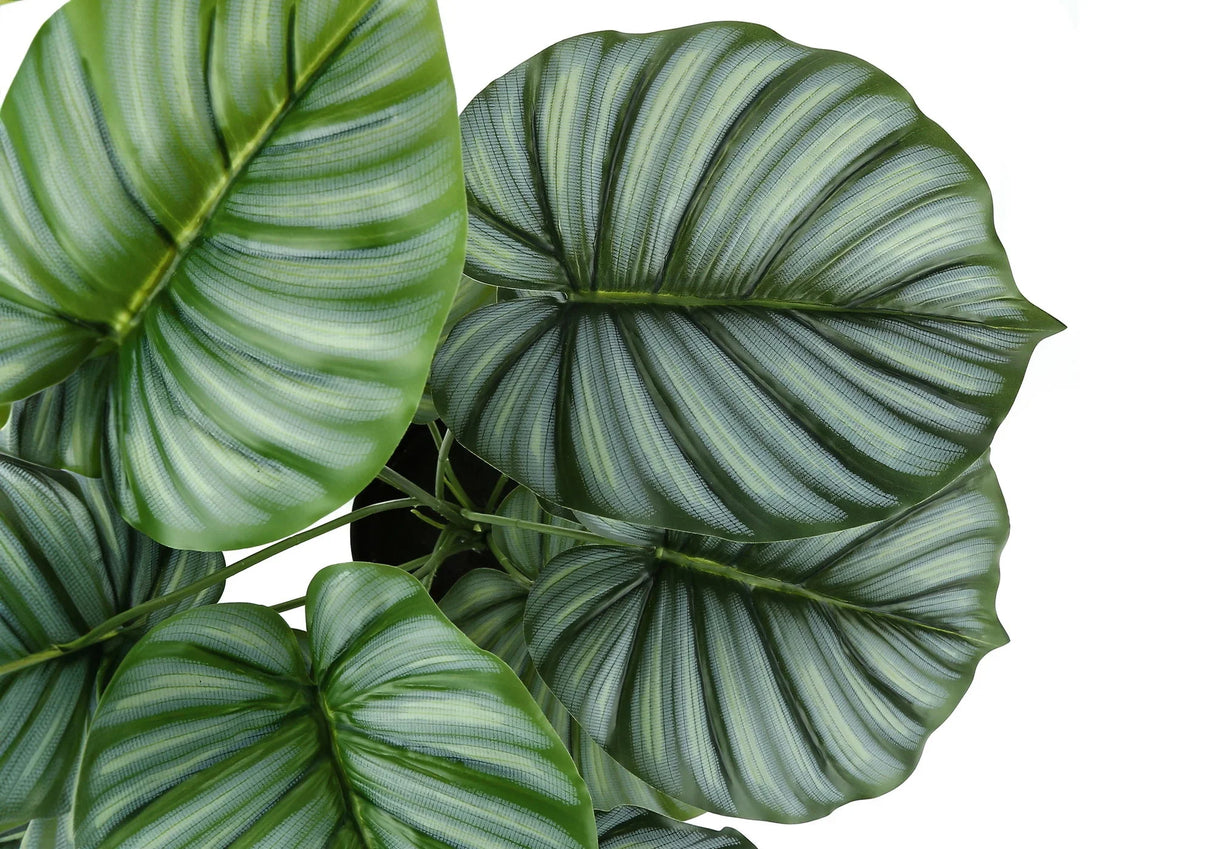 24" Tall, Artificial Plant, Calathea, Indoor, Faux, Fake, Table, Greenery, Potted, Real Touch, Decorative - Green / Black - Furniture Home Direct