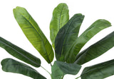 43" Tall, Artificial Plant, Banana Tree, Indoor, Faux, Fake, Floor, Greenery, Potted, Real Touch, Decorative - Green / Black - Furniture Home Direct