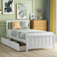 Platform Bed With Two Drawers - Furniture Home Direct