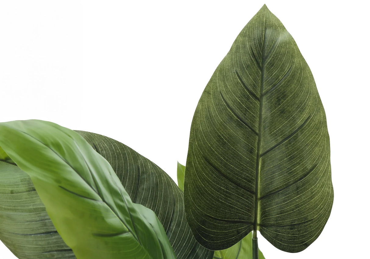 37" Tall, Artificial Plant, Aureum Tree, Indoor, Faux, Fake, Floor, Greenery, Potted, Real Touch, Decorative - Green / Black - Furniture Home Direct