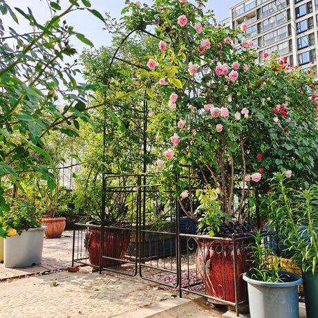 Metal Garden Arch With Gate High Climbing Plants Support Rose Arch Outdoor - Black - Furniture Home Direct